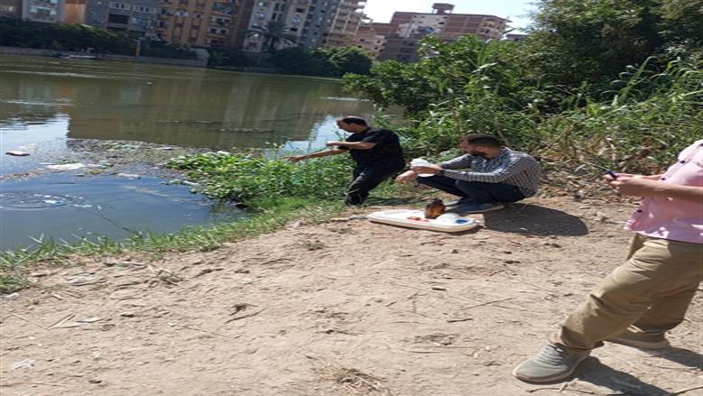 «التنمية المحلية» تنفذ 77 حملة تفتيشية على المنشآت الصناعية والطبية والمجازر