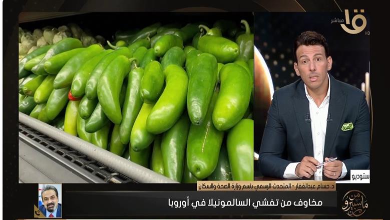 متحدث «الصحة»: مصر خالية من انتشار السالمونيلا.. وهذه أبرز طرق انتقال المرض