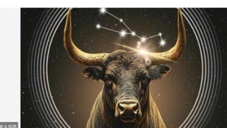 استقرار مالي وفرصة لزيادة الدخل.. ماذا ينتظر برج الثور اليوم؟