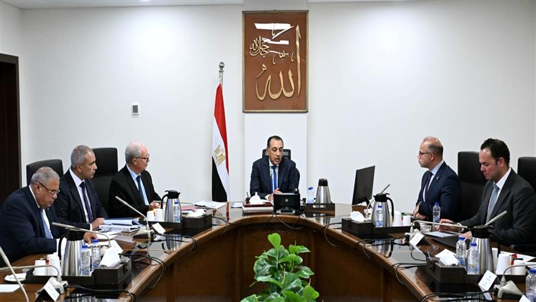 رئيس الوزراء: نقل تبعية بعض شركات قطاع الأعمال يستهدف رفع كفاءة إدارة الأصول