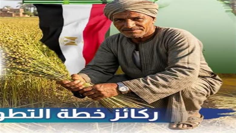 حوافز مالية ووقف تصدير الخام.. كيف تخطط مصر لتطوير صناعة الكتان بحلول 2030؟