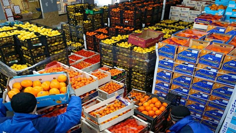 الفراولة المجمدة الأولى في صادرات الصناعات الغذائية بقيمة 489 مليون دولار خلال 6 أشهر