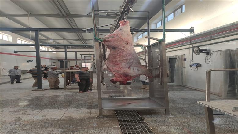 بدء التشغيل التجريبي لمجزر أخميم في سوهاج.. «التنمية المحلية»: التزام الكامل بالاشتراطات الصحية