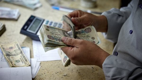 بسبب المعاش المبكر، حيثيات حكم قضائي بإنصاف موظف حكومي وتسوية مستحقاته التأمينية