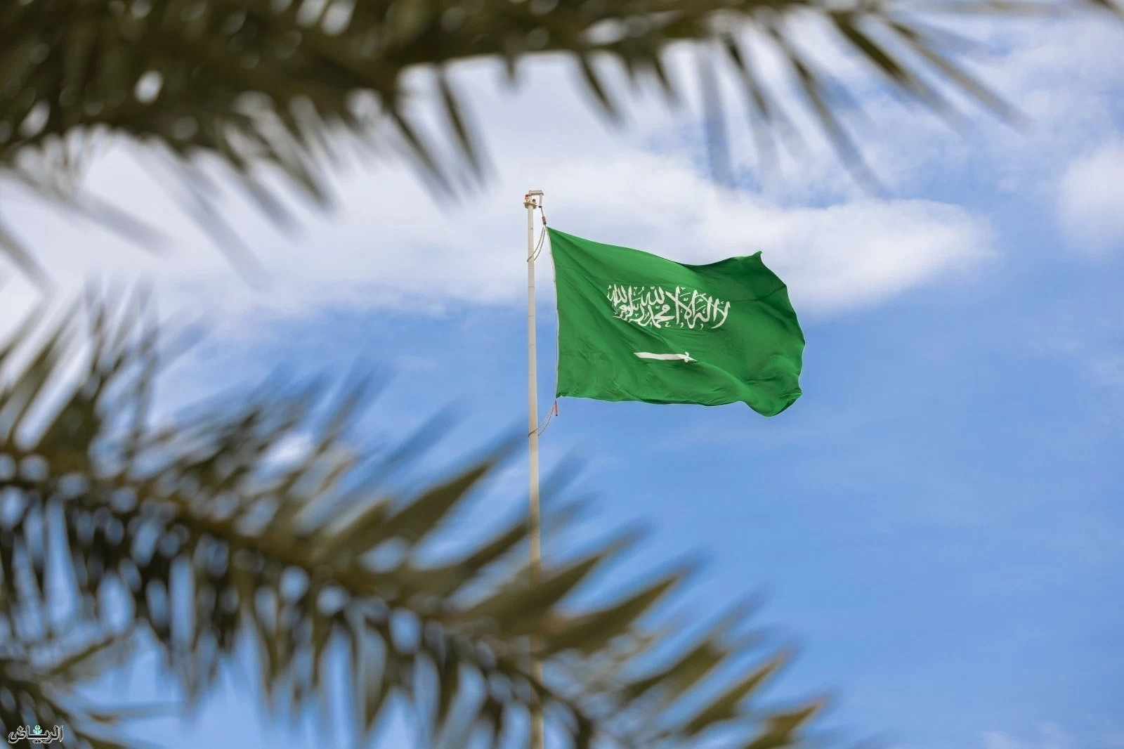 السعودية تعرب عن تعازيها للجزائر إثر حادثة مرورية في بومرداس – أخبار السعودية