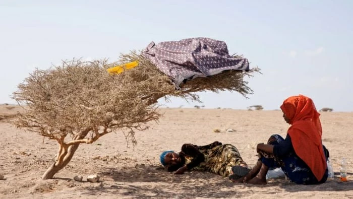 الطيور تلوذ بالظلال.. بورتسودان بلا كهرباء في الـ50 درجة وليالٍ بلا نوم تحت تهديد الحرائق – أخبار السعودية