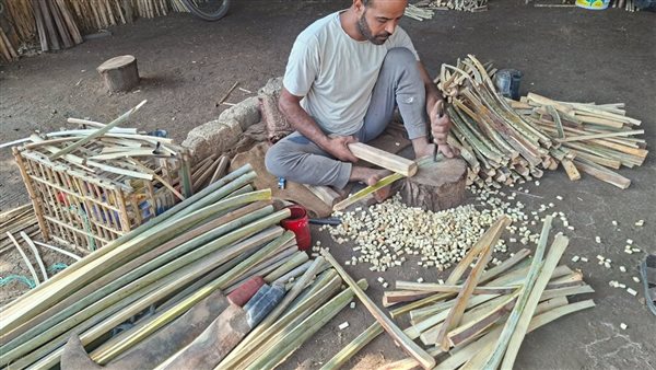 الحكاية مش حكاية منتج، قصة أهالي إمياي بالقليوبية مع أقفاص النخيل والكفاح لعدم اندثارها (فيديو)