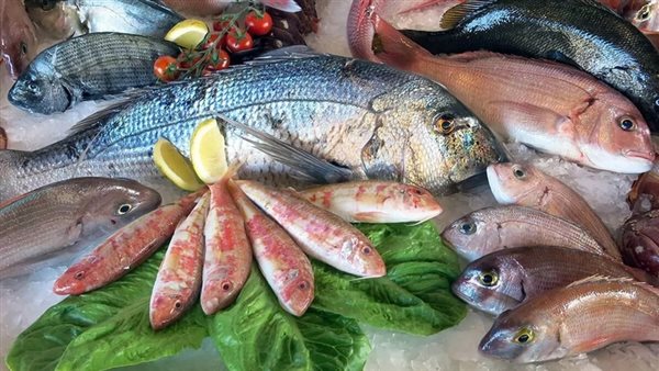 أسعار السمك اليوم، ارتفاع البلطي 3 جنيهات والجمبري الممتاز يزحف إلى الألف جنيه مجددا