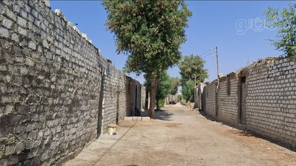 المتر بـ 8 آلاف جنيه والحسابة بتحسب، غرائب تقنين الأراضي بمنطقة المعنا الجبلية في قنا (فيديو)