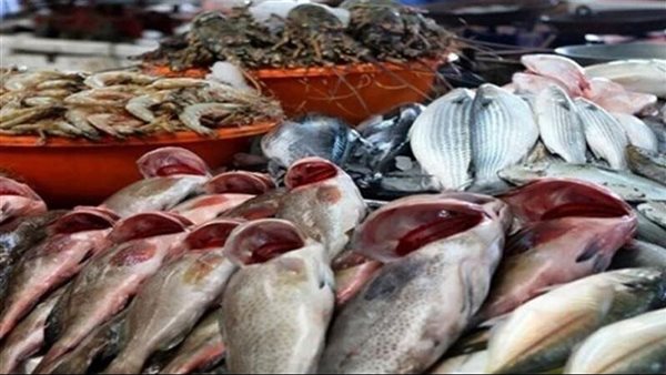 أسعار السمك اليوم، البلطي يسجل 72 جنيها “جملة” والبوري يغري المصريين