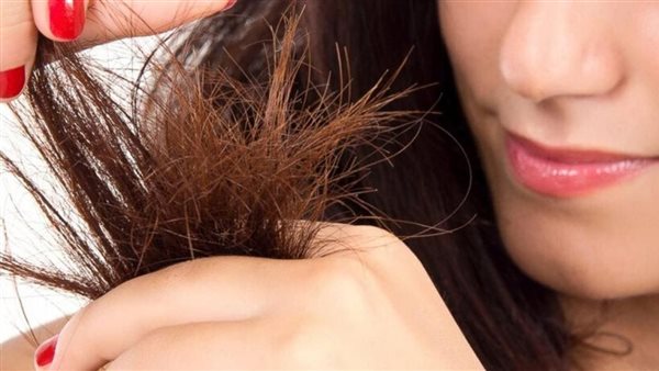 وصفة طبيعية لتنعيم الشعر وعلاج التقصف والهيشان