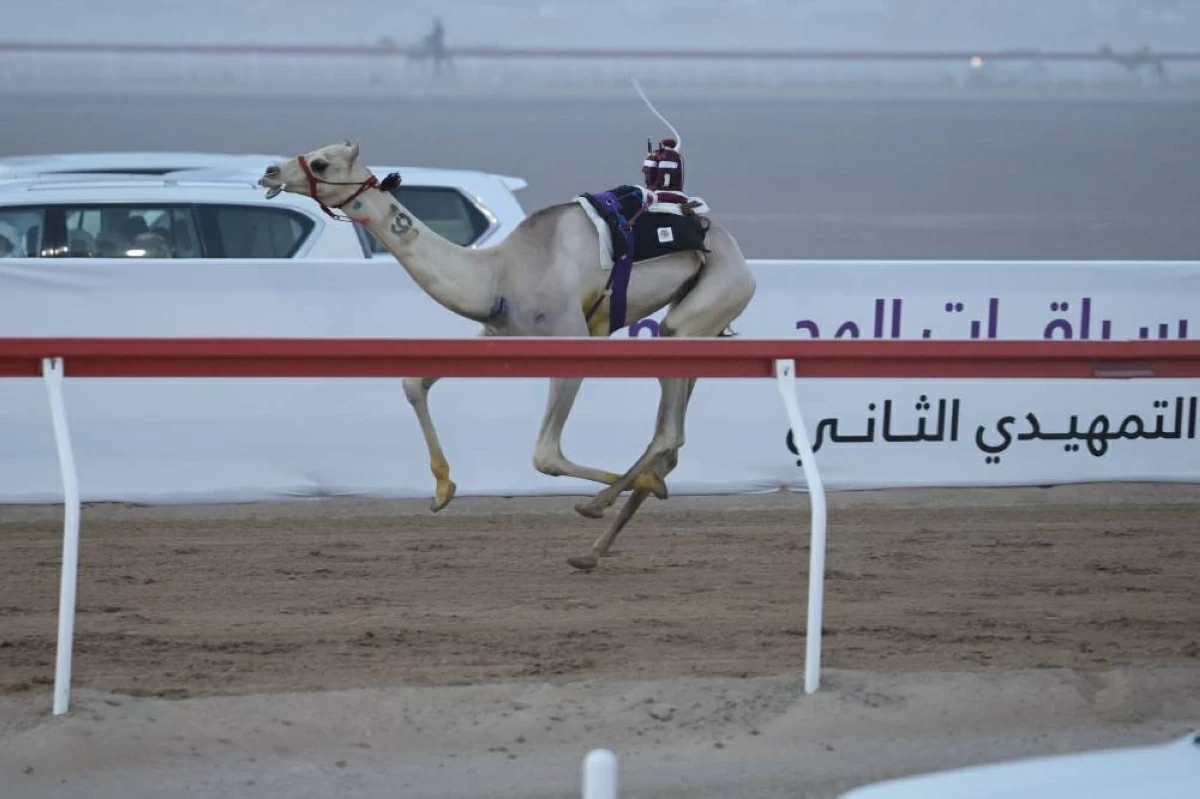 «الظبي» تتصدر أول أشواط الفطامين