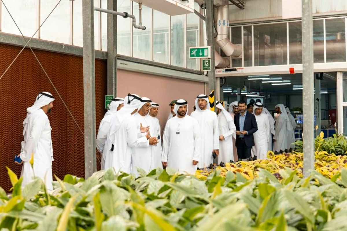 دبي تطلق مبادرة «مُزارع الفريج» الرقمية