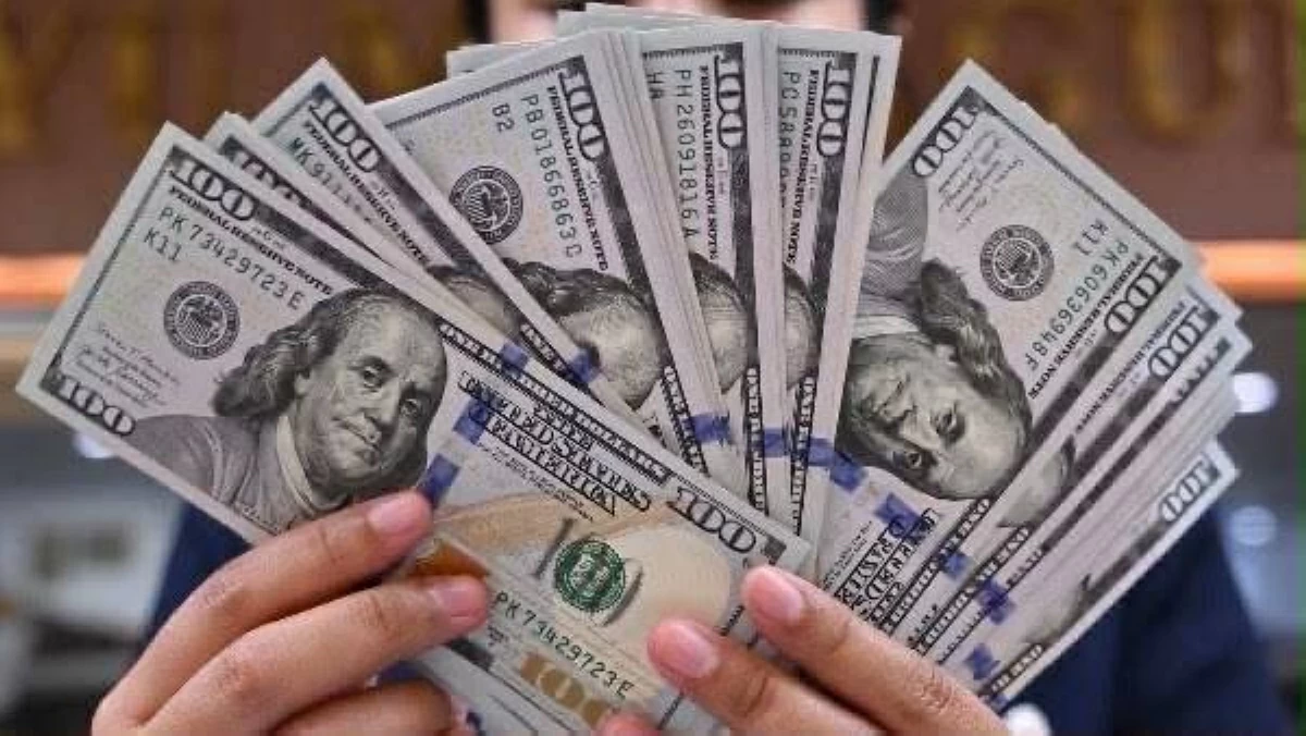 سعر الدولار اليوم في مصر الثلاثاء 4 أغسطس 2026.. آخر تحديث لأسعار الصرف