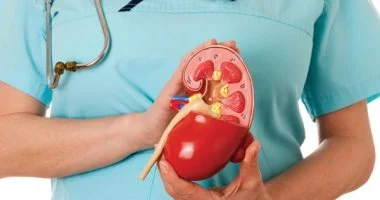حافظ على كليتيك بعد سن الـ40.. 8 نصائح لازم تعرفها