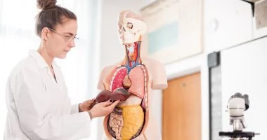 علاج الكبد الدهنى بطرق طبيعية ونصائح فعالة