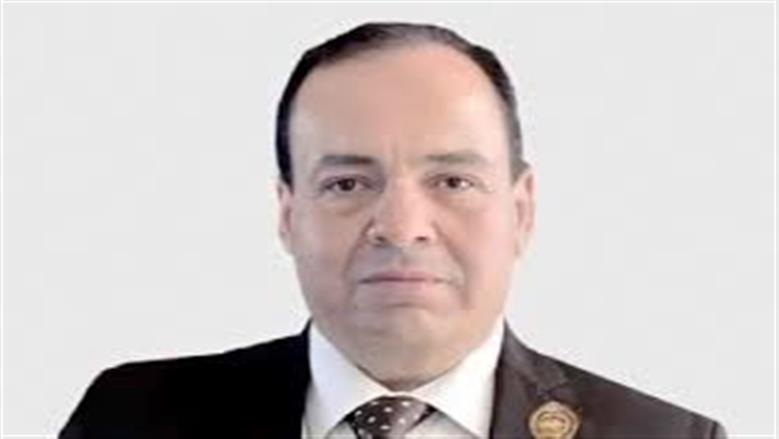 قيادي بـ«حماة الوطن»: الاستثمارات الصينية فرصة لتعميق التصنيع المحلي وخلق فرص عمل
