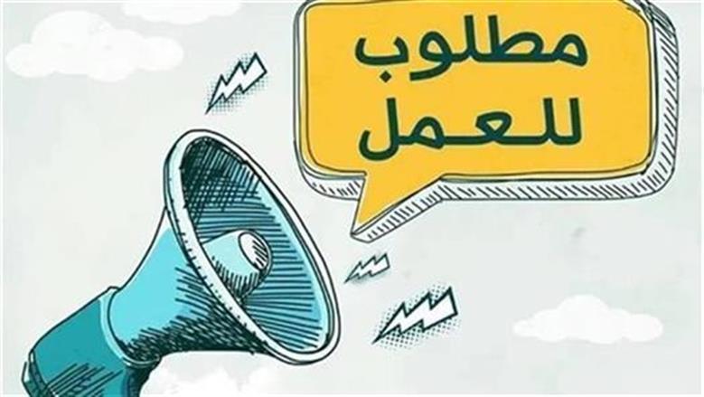 فرص عمل في أسوان.. وزارة العمل تعلن عن 41 وظيفة في فندق