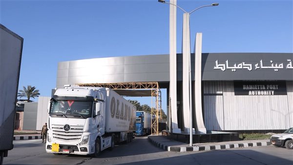 استقبال 12 سفينة وتداول 58 ألف طن بضائع بميناء دمياط