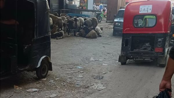 حي عين شمس يستعصي على رؤسائه، شوارع غير ممهدة وسيطرة للبائعين وميادين قنابل موقوتة (صور)